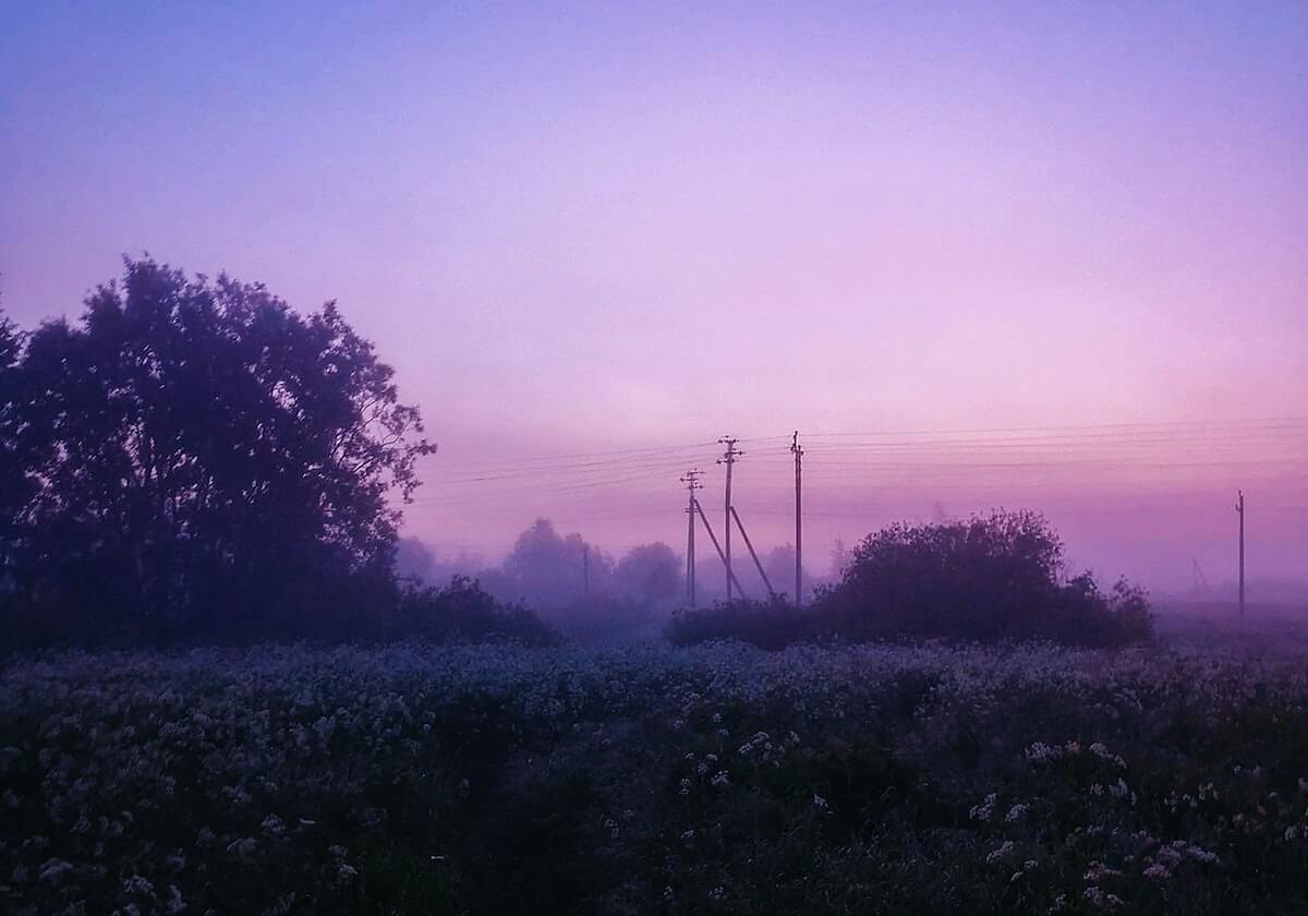 世界杯最新版下载-太阳轻取猛龙 布克25+6杰伦·格林20+7